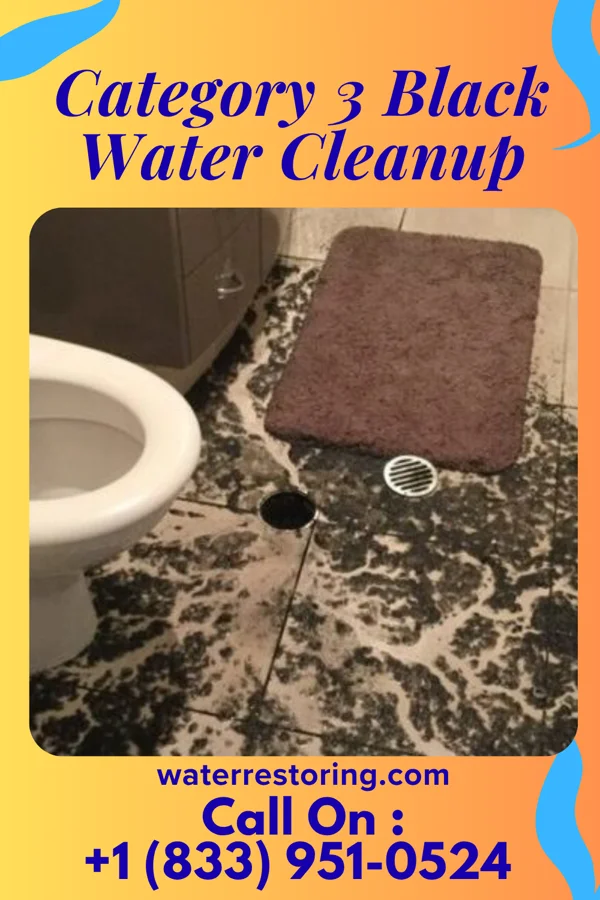 Category 3 Black Water Cleanup in Monterey, KY