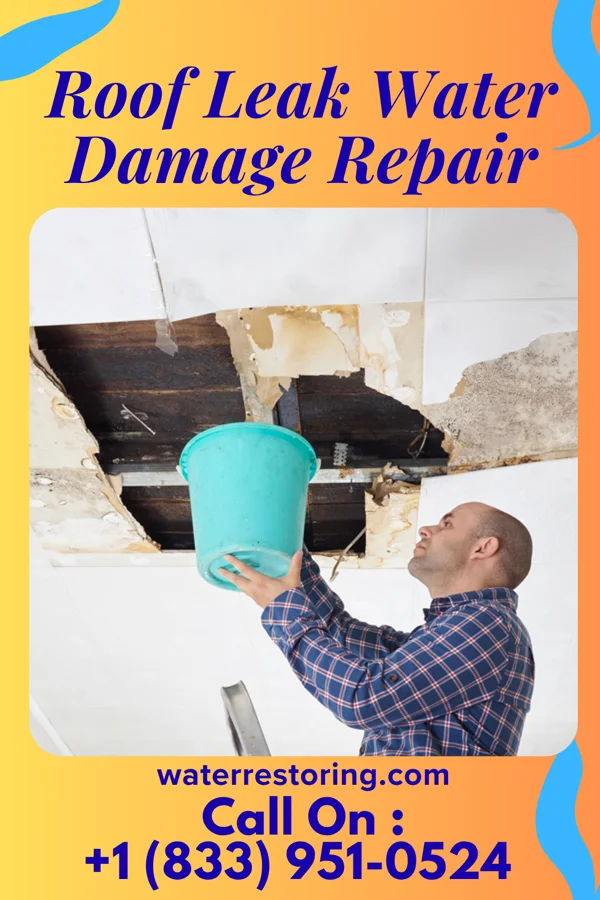Roof Leak Water Damage Repair in Monterey, KY