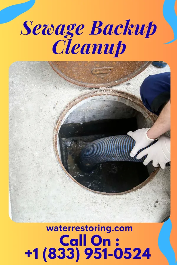 Sewage Backup Cleanup in Monterey, KY