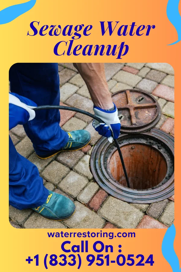 Sewage Water Cleanup in Monterey, KY